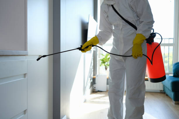 Trusted Blaine, MN Mold Removal Experts