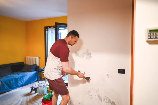 Best Mold Testing  in Blaine, MN